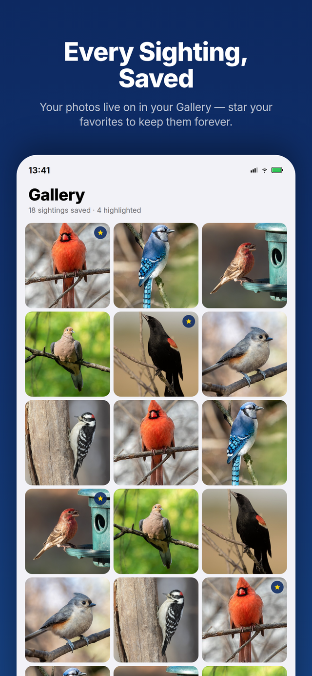 BirdSpot gallery of saved bird sightings