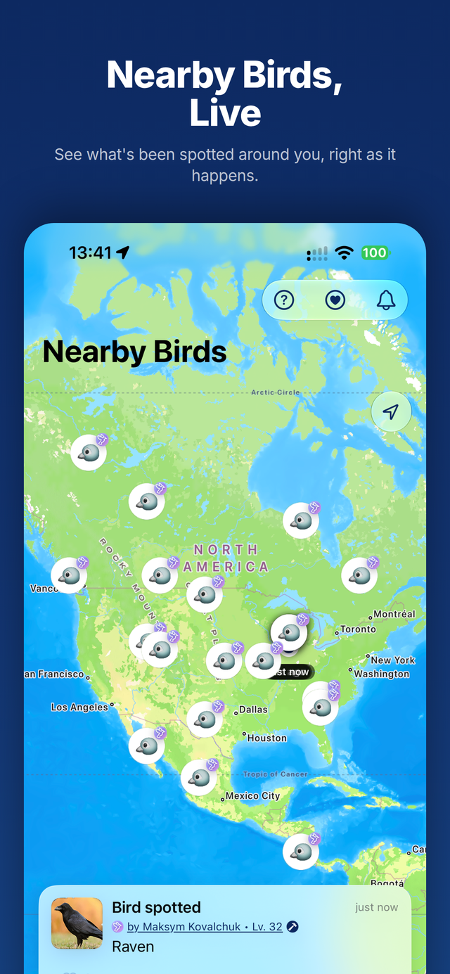 BirdSpot map showing live bird sightings nearby
